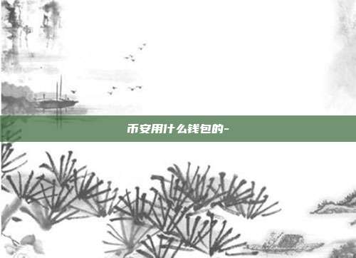 币安用什么钱包的-