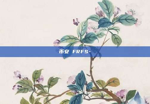 币安 FRFS-