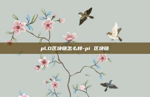 pLO区块链怎么样-pi 区块链