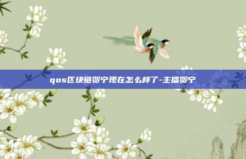 qos区块链贺宁现在怎么样了-主播贺宁