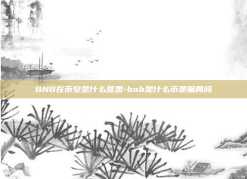 BNB在币安是什么意思-bnb是什么币是骗局吗