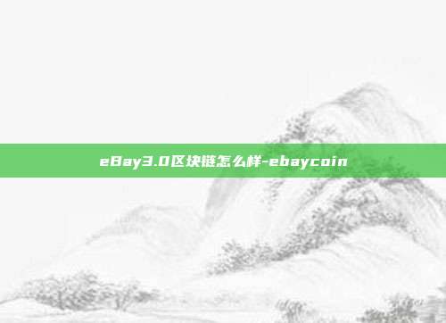 eBay3.0区块链怎么样-ebaycoin