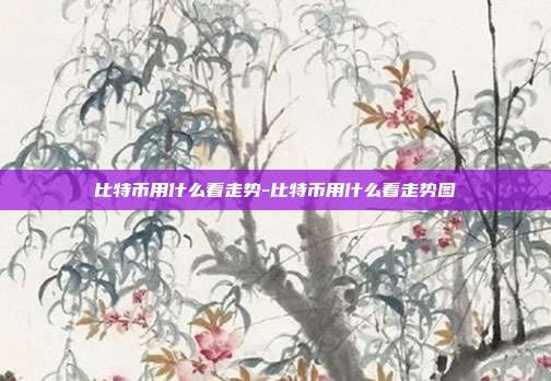 比特币用什么看走势-比特币用什么看走势图