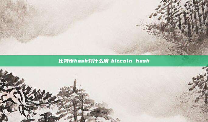 比特币hash有什么用-bitcoin hash