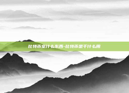 比特币室什么东西-比特币是干什么用