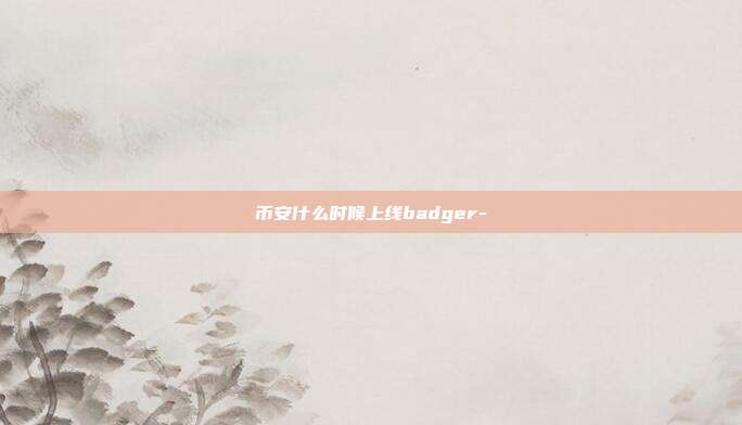 币安什么时候上线badger-