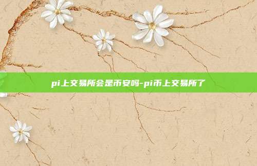 pi上交易所会是币安吗-pi币上交易所了