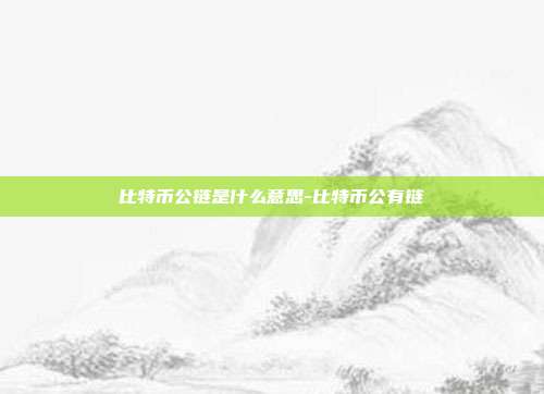 比特币公链是什么意思-比特币公有链