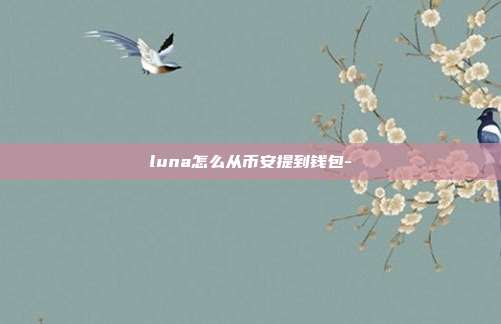 luna怎么从币安提到钱包-