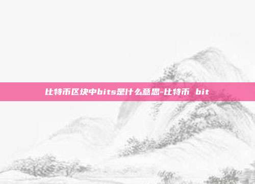 比特币区块中bits是什么意思-比特币 bit