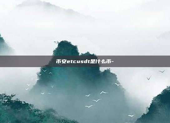 币安etcusdt是什么币-