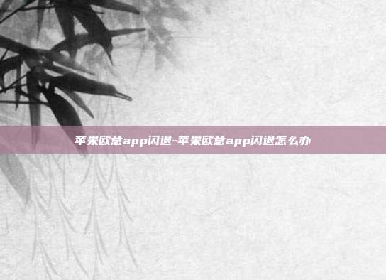 苹果欧意app闪退-苹果欧意app闪退怎么办