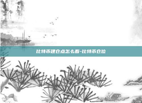 比特币建仓点怎么看-比特币仓位