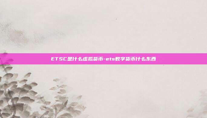 ETSC是什么虚拟货币-ets数字货币什么东西