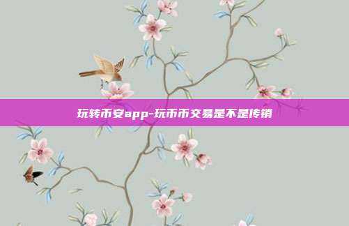 玩转币安app-玩币币交易是不是传销