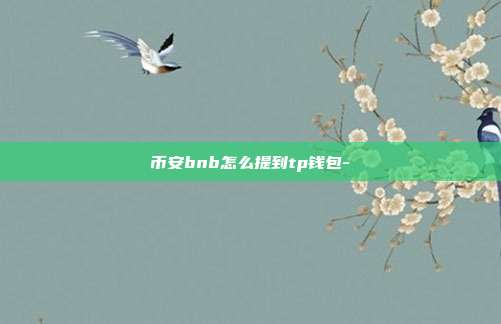 币安bnb怎么提到tp钱包-