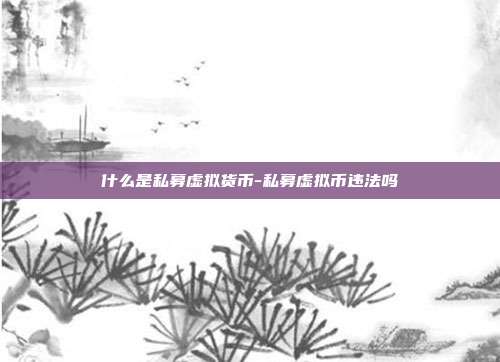 什么是私募虚拟货币-私募虚拟币违法吗