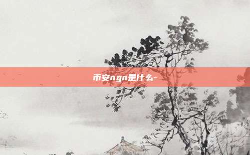 币安ngn是什么-