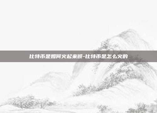 比特币是如何火起来额-比特币是怎么火的