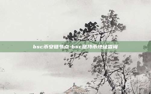 bsc币安链节点-bsc链持币地址查询