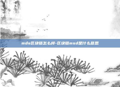 mds区块链怎么样-区块链msd是什么意思