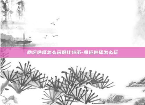 命运选择怎么获得比特币-命运选择怎么玩