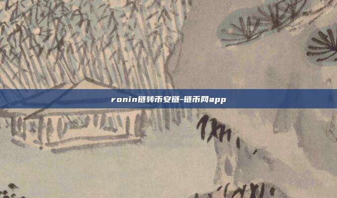 ronin链转币安链-链币网app