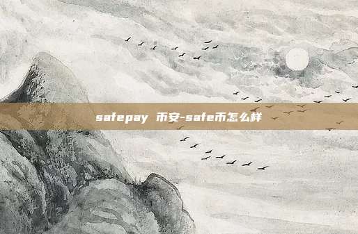 safepay 币安-safe币怎么样